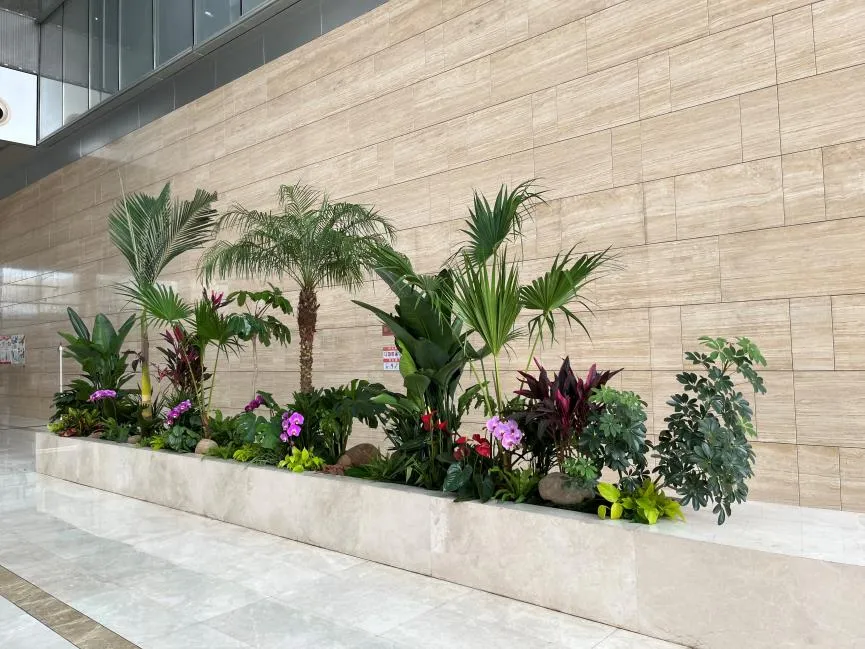 慈溪花卉出租价格